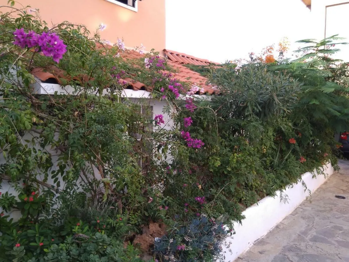 אדחה Ocean View Apartment